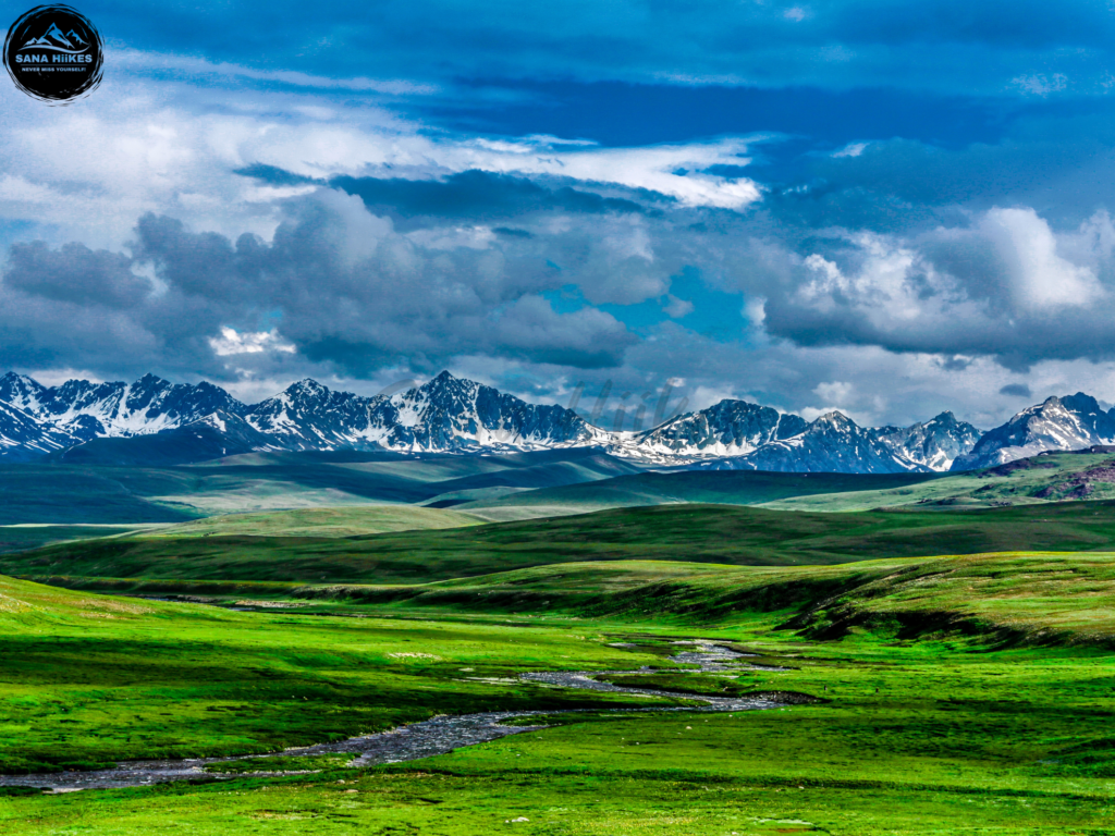 Deosai National Park