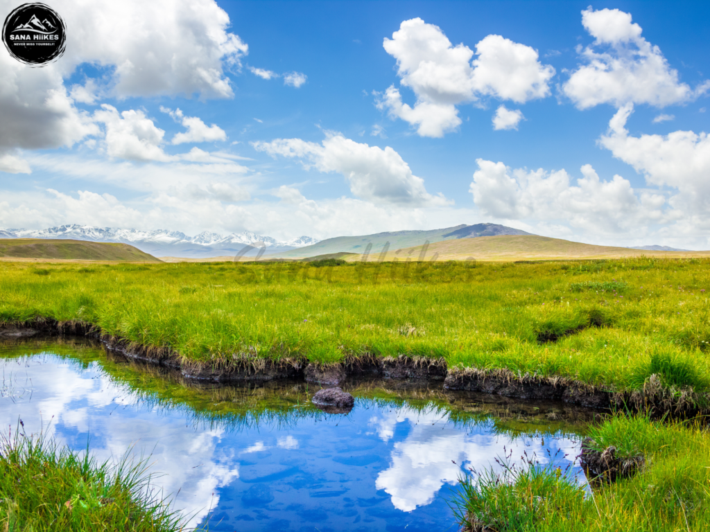 Picture Of Deosai National Park