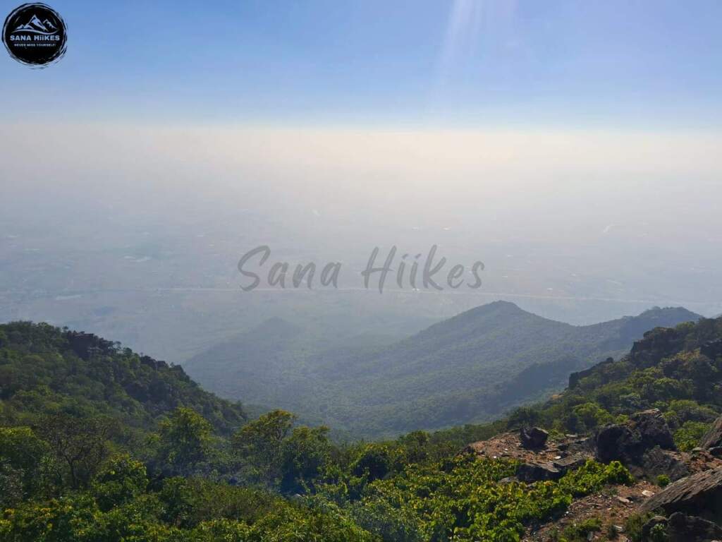 View from the top